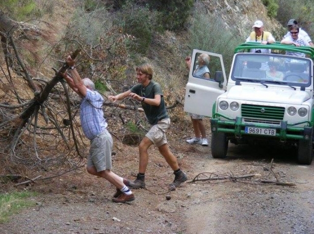  We remove the trunk to continue 